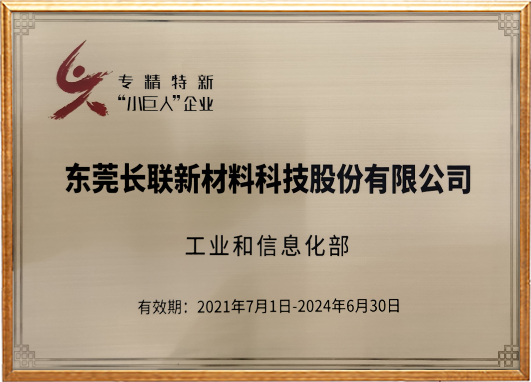 专精特新小巨人企业