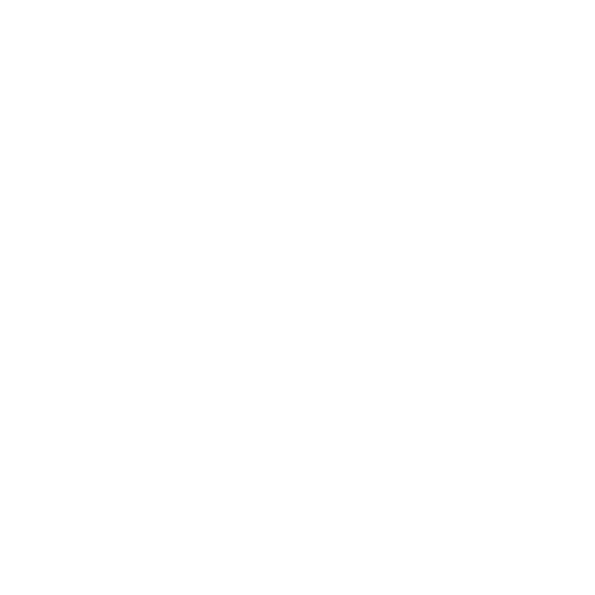 Company Announcement